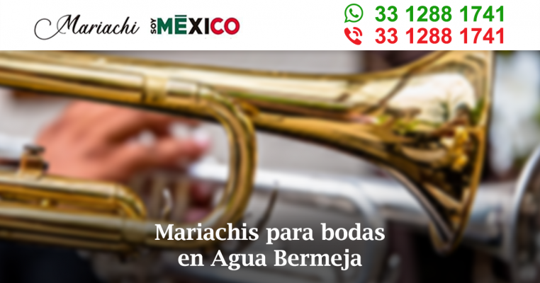 Mariachis para bodas en Agua Bermeja Zapotlanejo