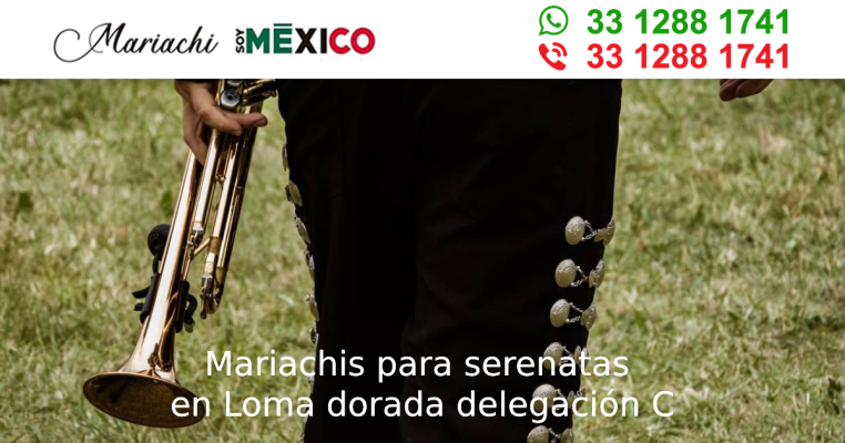 Mariachis para serenatas en Loma dorada delegación C Tonala